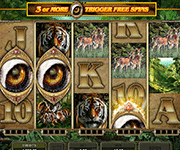 Untamed Bengal Tiger