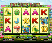 Butterflies