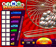 Bingo Bonanza