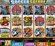 Soccer Safari